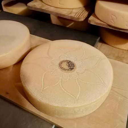 Madulain Alp Es-Cha Dadour B&B 외부 사진