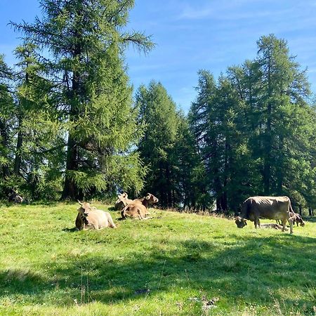 Madulain Alp Es-Cha Dadour B&B 외부 사진