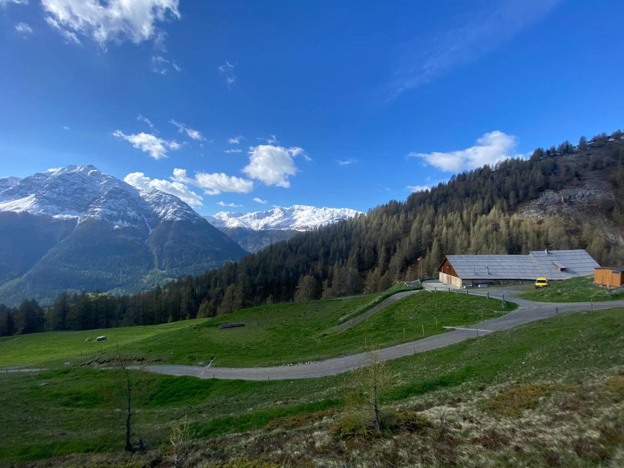 Madulain Alp Es-Cha Dadour B&B 외부 사진