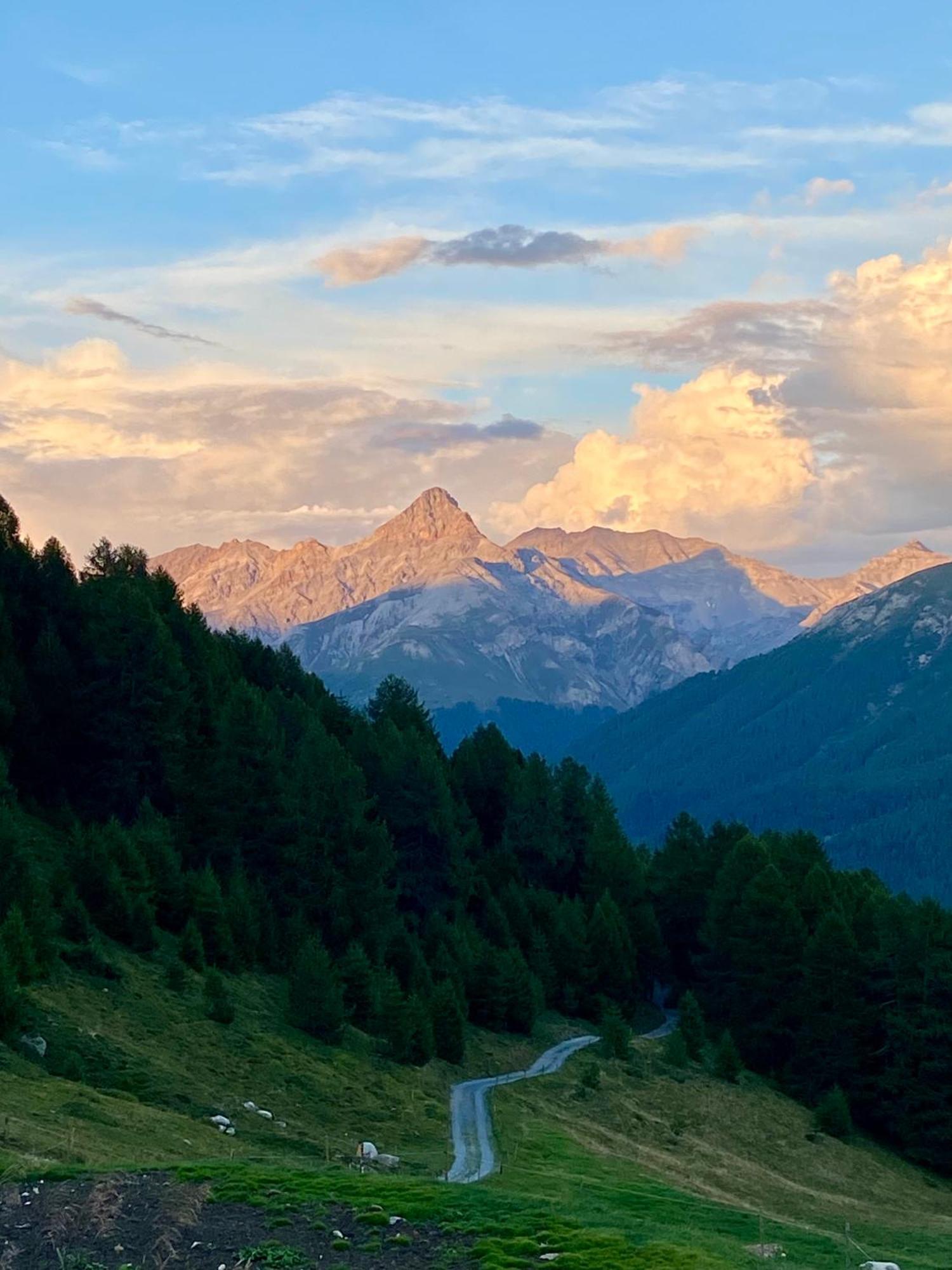 Madulain Alp Es-Cha Dadour B&B 외부 사진