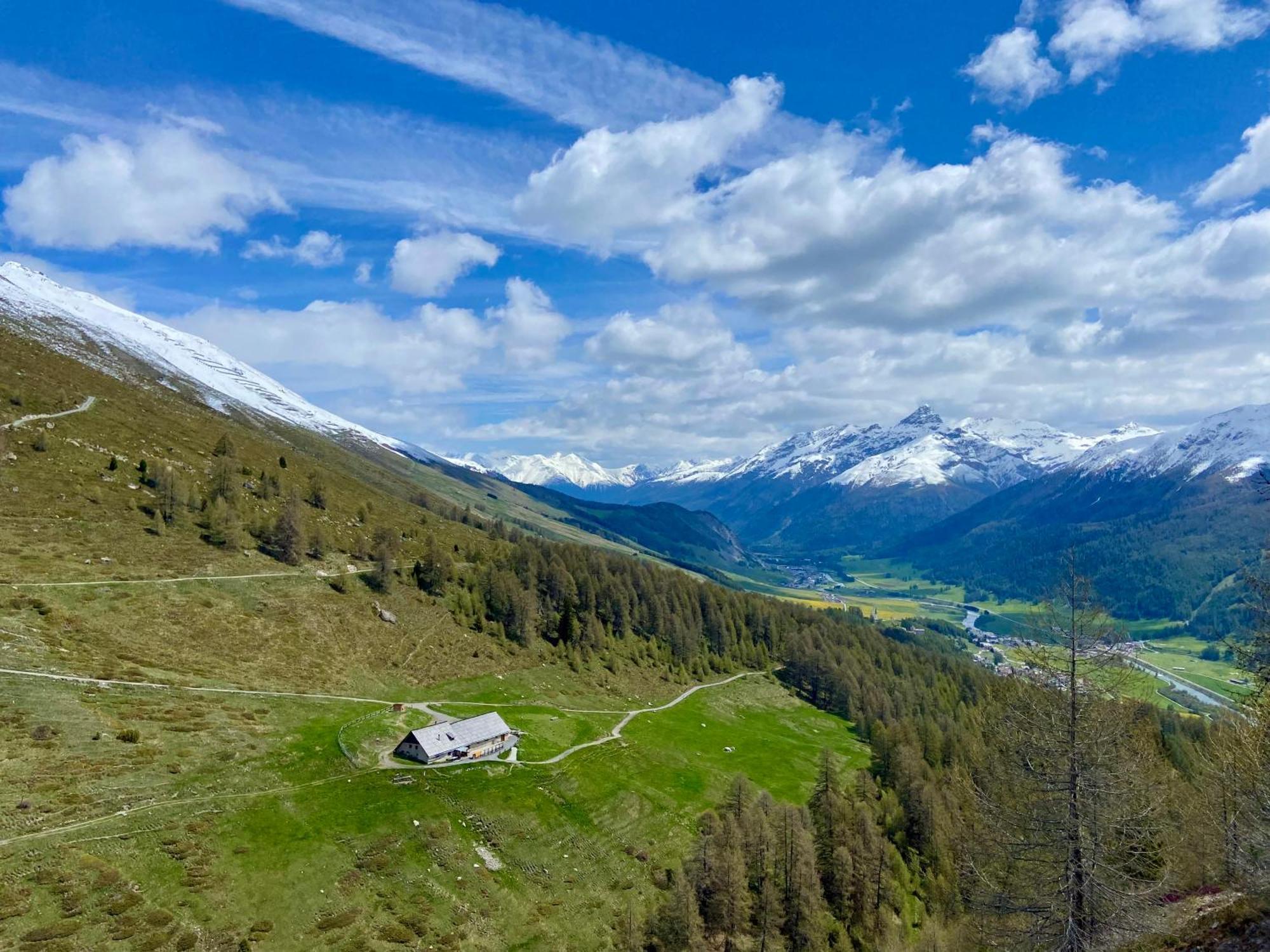 Madulain Alp Es-Cha Dadour B&B 외부 사진